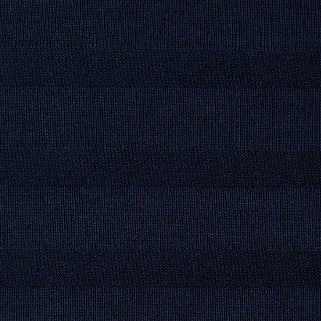 コットン×ボーダー(ダークネイビー)×天竺ニット_全2色 イメージ1