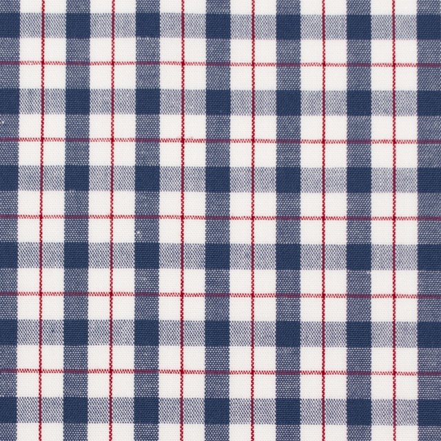 コットン×チェック(トリコロール)×ブロード イメージ1