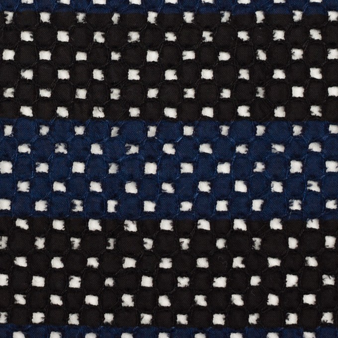 コットン×ボーダー(ネイビー&ブラック)×ローン刺繍 イメージ1
