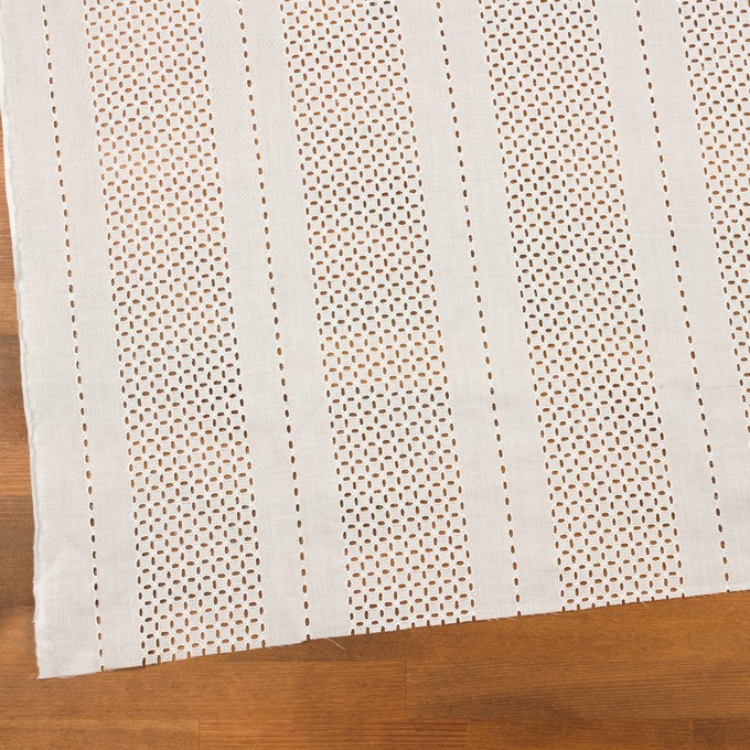 コットン×ストライプ(オフホワイト)×ローン刺繍_全2色 イメージ2