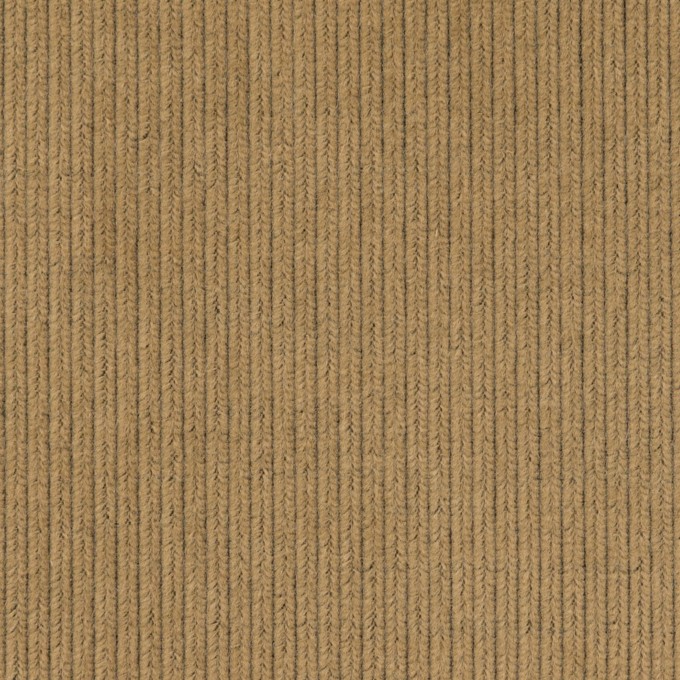 コットン×無地(ジンジャー)×中細コーデュロイ_全4色 イメージ1