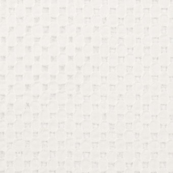 【70cmカット】コットン×サークル(オフホワイト)×ローン刺繍のサムネイル