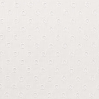 コットン×サークル(オフホワイト)×ローン刺繍のサムネイル