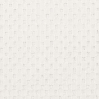 【アウトレット】コットン×サークル(オフホワイト)×ローン刺繍のサムネイル