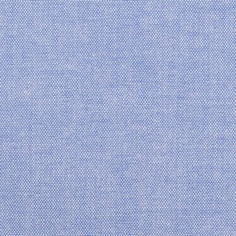 コットン×無地(ライトブルー)×セルビッチ・オックスフォード_全2色のサムネイル