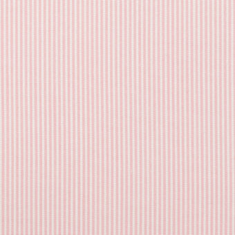 【アウトレット】コットン×ストライプ(ピンク)×コードレーンのサムネイル