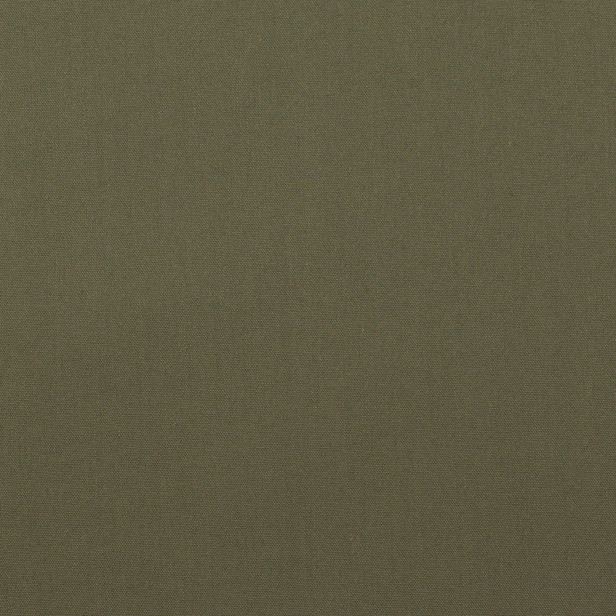 コットン＆ポリエステル×無地(オリーブグリーン)×ブロードストレッチ_全11色のサムネイル