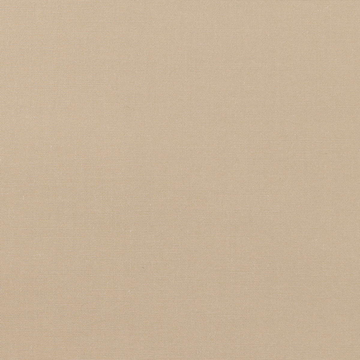 コットン＆ポリウレタン×無地(ベージュ)×ポプリンストレッチ_全2色_イタリア製のサムネイル