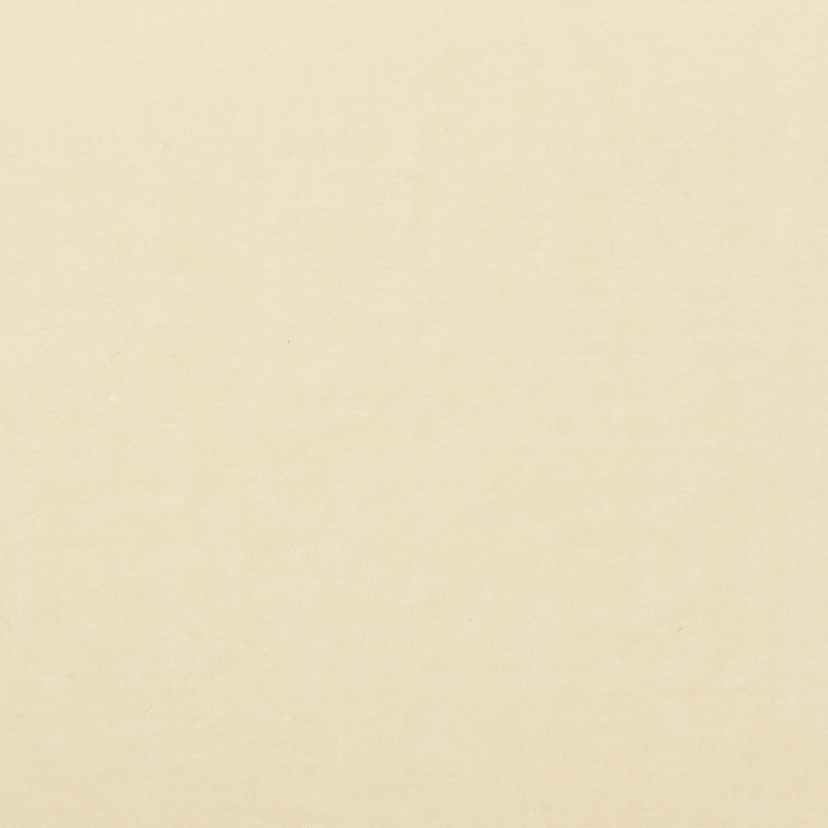 【アウトレット】コットン＆ポリウレタン×無地(エクリュ)×ベッチンストレッチのサムネイル