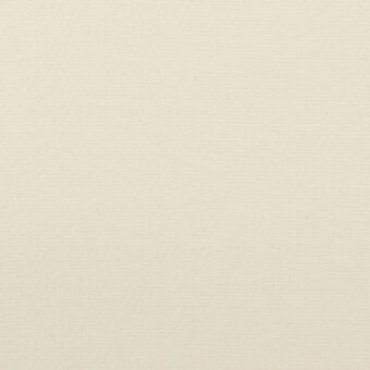 【アウトレット】コットン×無地(ミルク)×フランネルのサムネイル