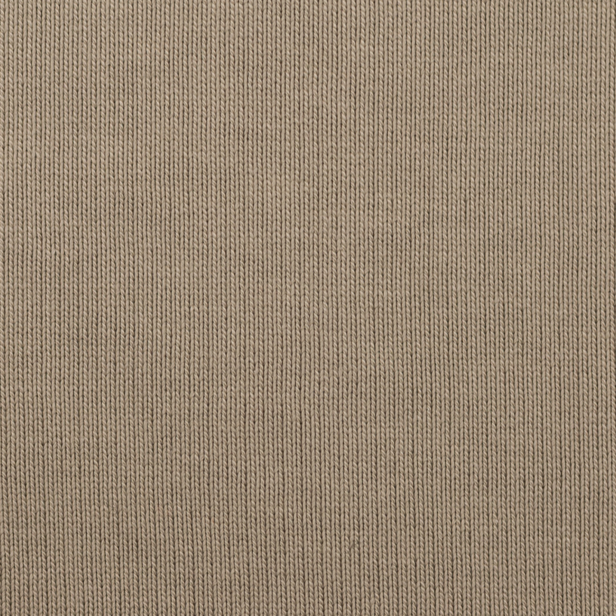 【アウトレット】コットン×無地(アッシュブロンド)×裏毛ニット(13oz)のサムネイル