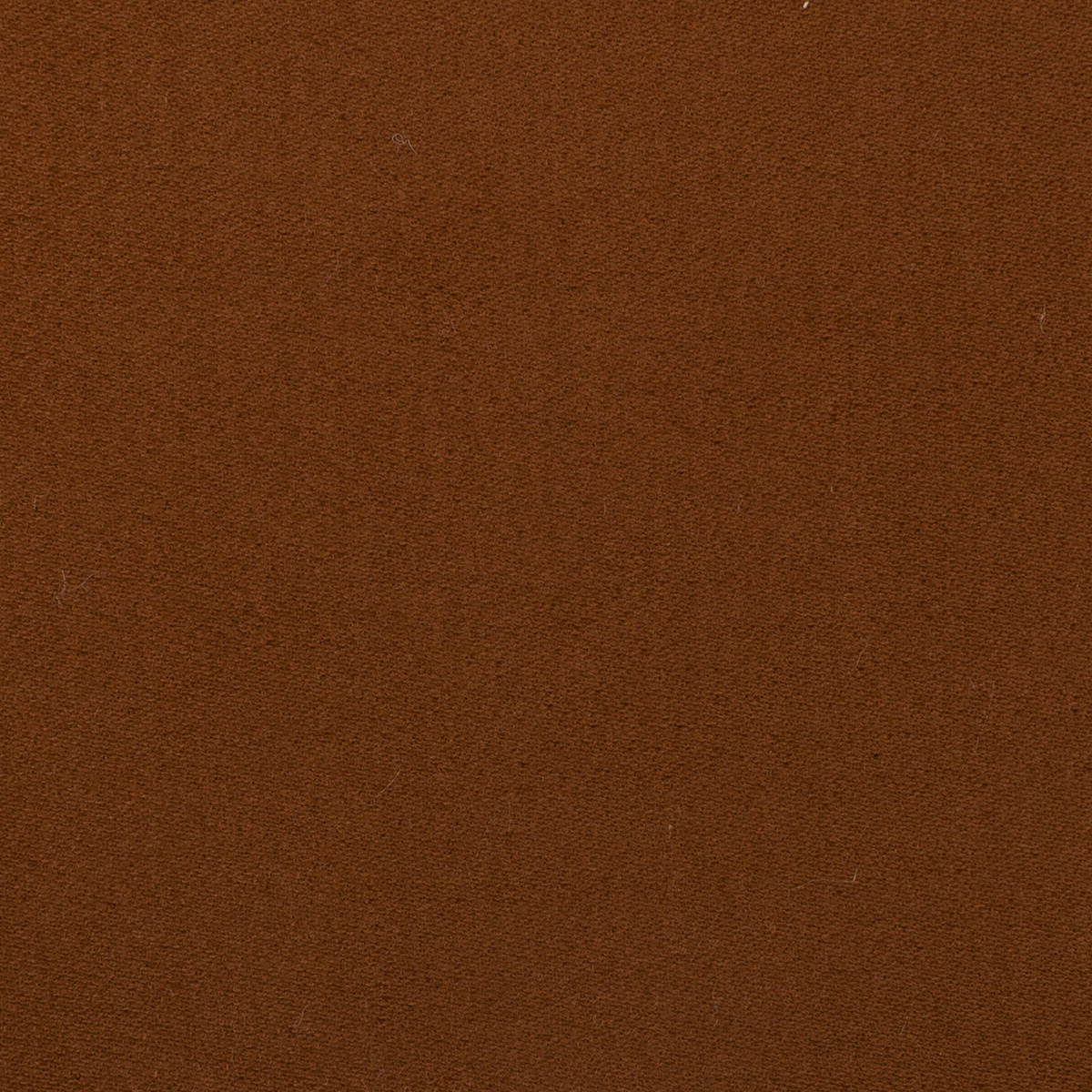 【アウトレット】コットン×無地(ブラウン)×モールスキンのサムネイル