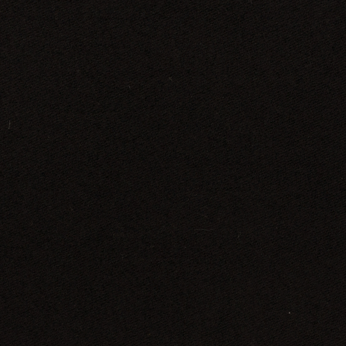 【アウトレット】コットン×無地(ブラック)×モールスキンのサムネイル