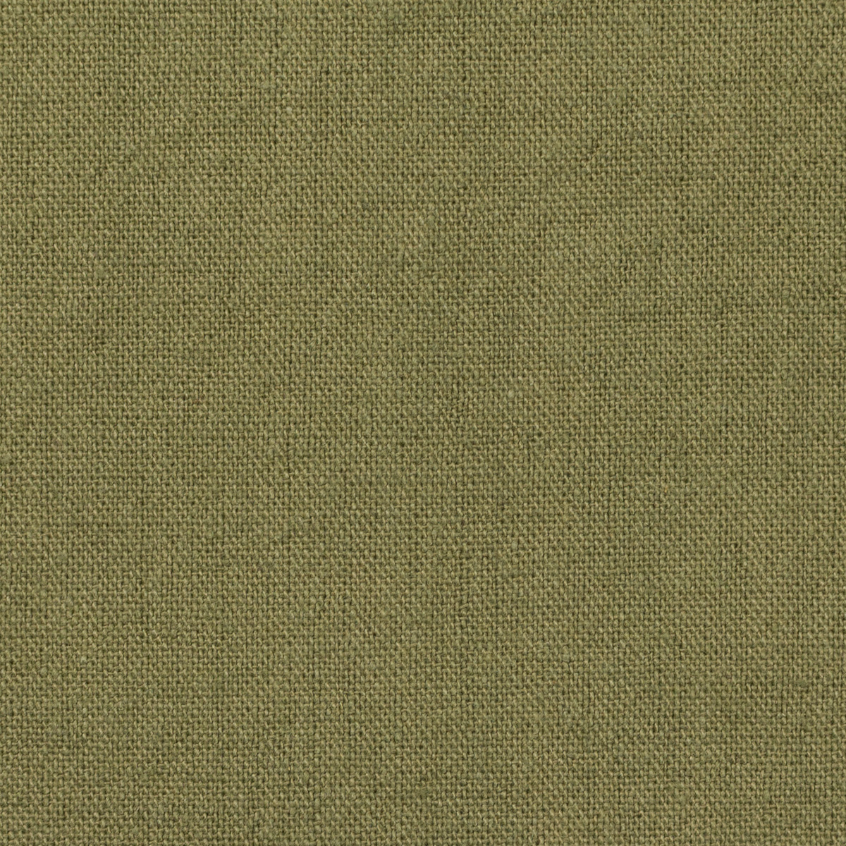 コットン＆リネン×無地(グラスグリーン)×キャンバス・ワッシャー_全18色のサムネイル