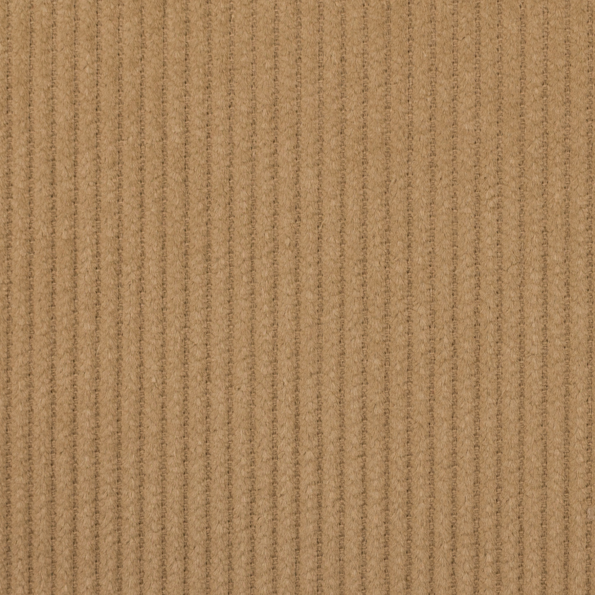 【アウトレット】コットン×無地(ベージュ)×中コーデュロイのサムネイル