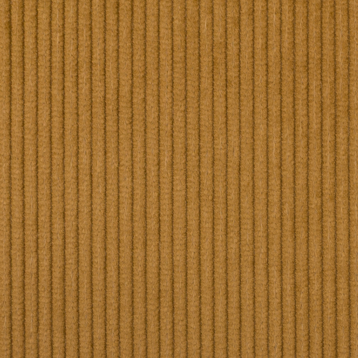 【アウトレット】コットン×無地(キャメル)×中コーデュロイのサムネイル