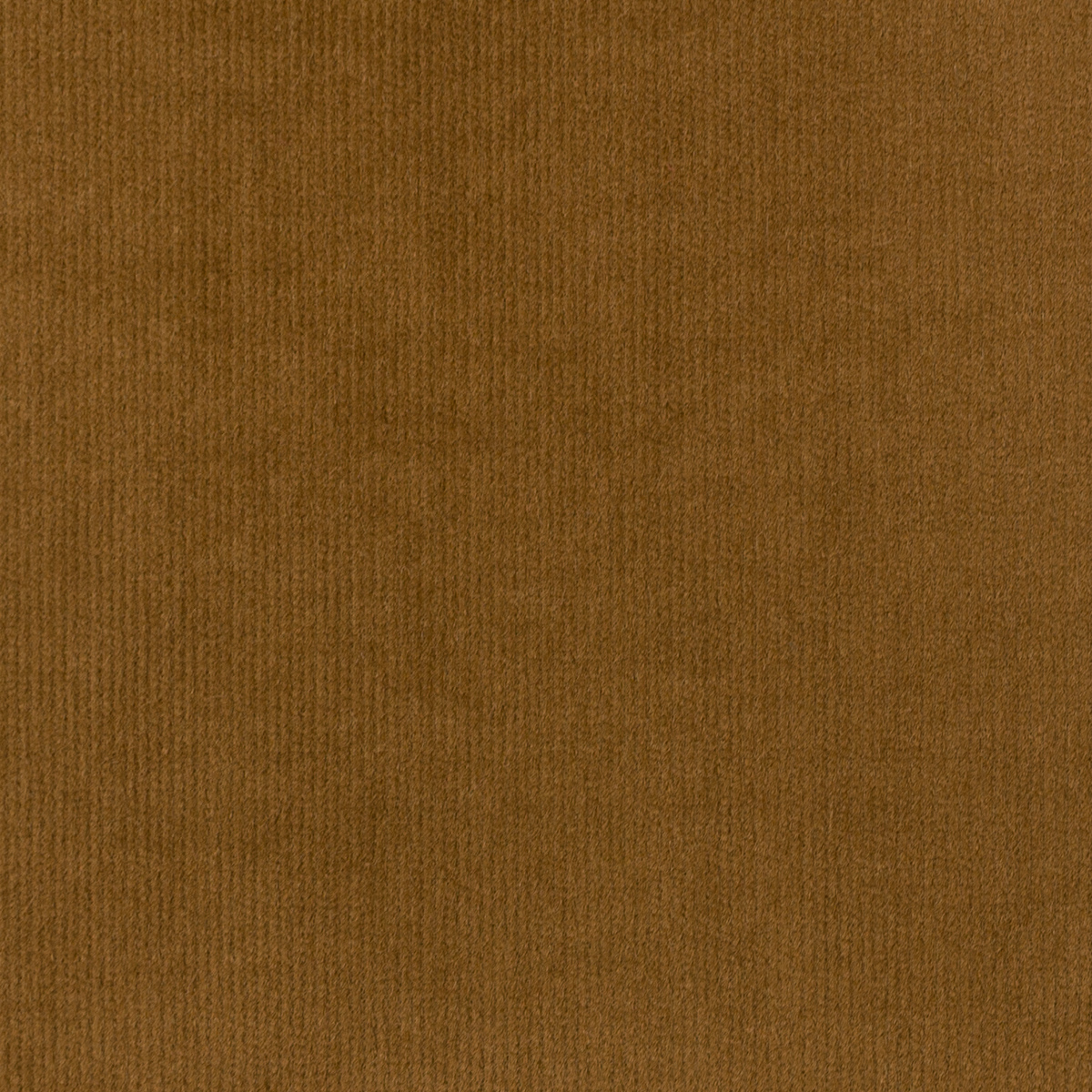 【アウトレット】コットン＆ポリウレタン×無地(ジンジャー)×細コーデュロイ・ストレッチのサムネイル