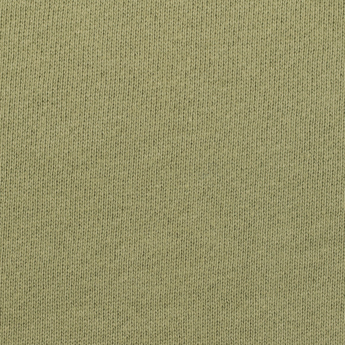 【アウトレット】コットン×無地(アトモスグリーン)×裏毛ニット(裏面起毛)(8.5oz)のサムネイル