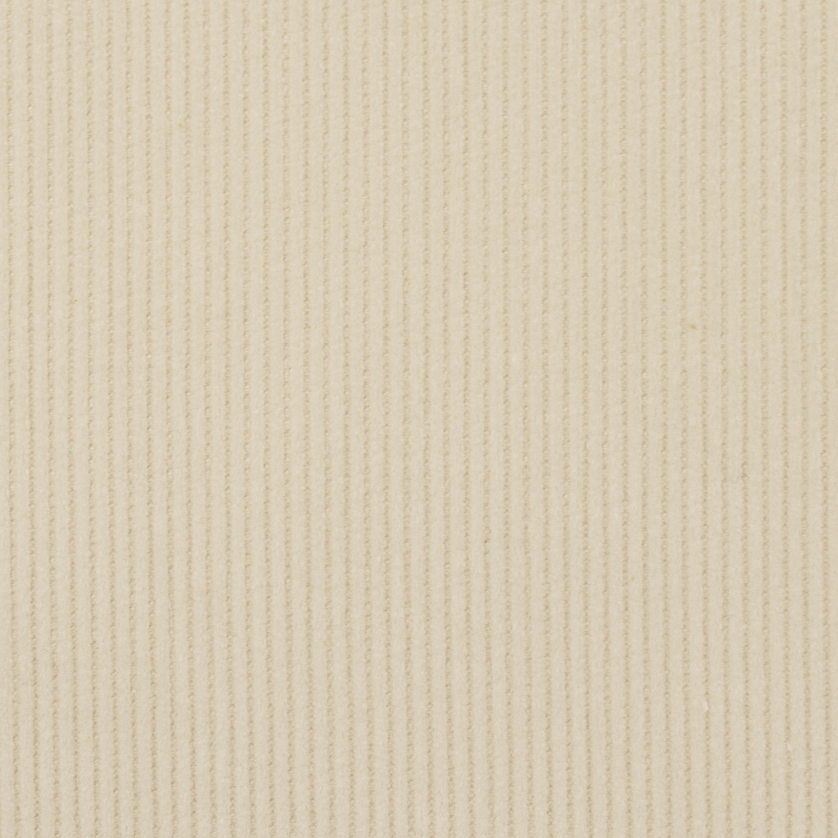 【アウトレット】コットン×無地(エクリュ)×中細コーデュロイのサムネイル