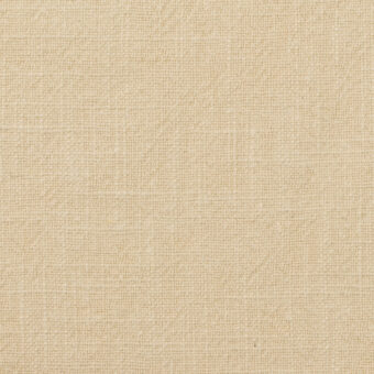 【アウトレット】コットン×無地(エクリュ)×キャンバス・ワッシャーのサムネイル