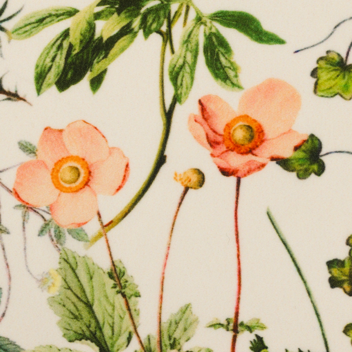 【アウトレット】ポリエステル×ボタニカル(エクリュ、コーラル＆ターコイズ)×デシンのサムネイル