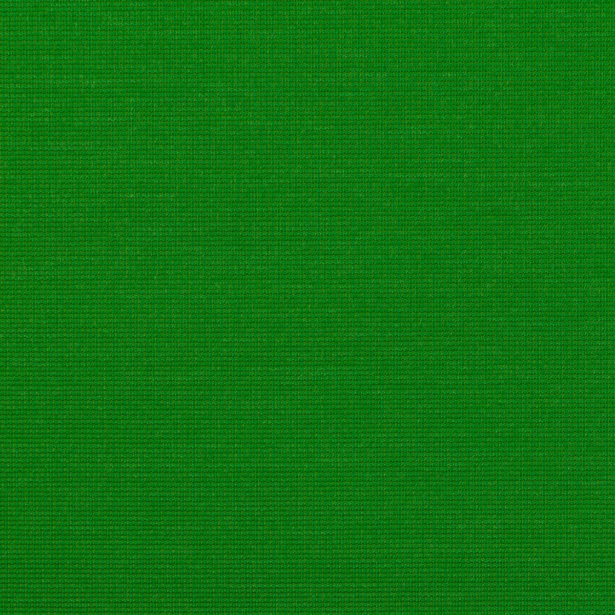 【アウトレット】コットン＆レーヨン混×無地(グリーン)×Wニットのサムネイル