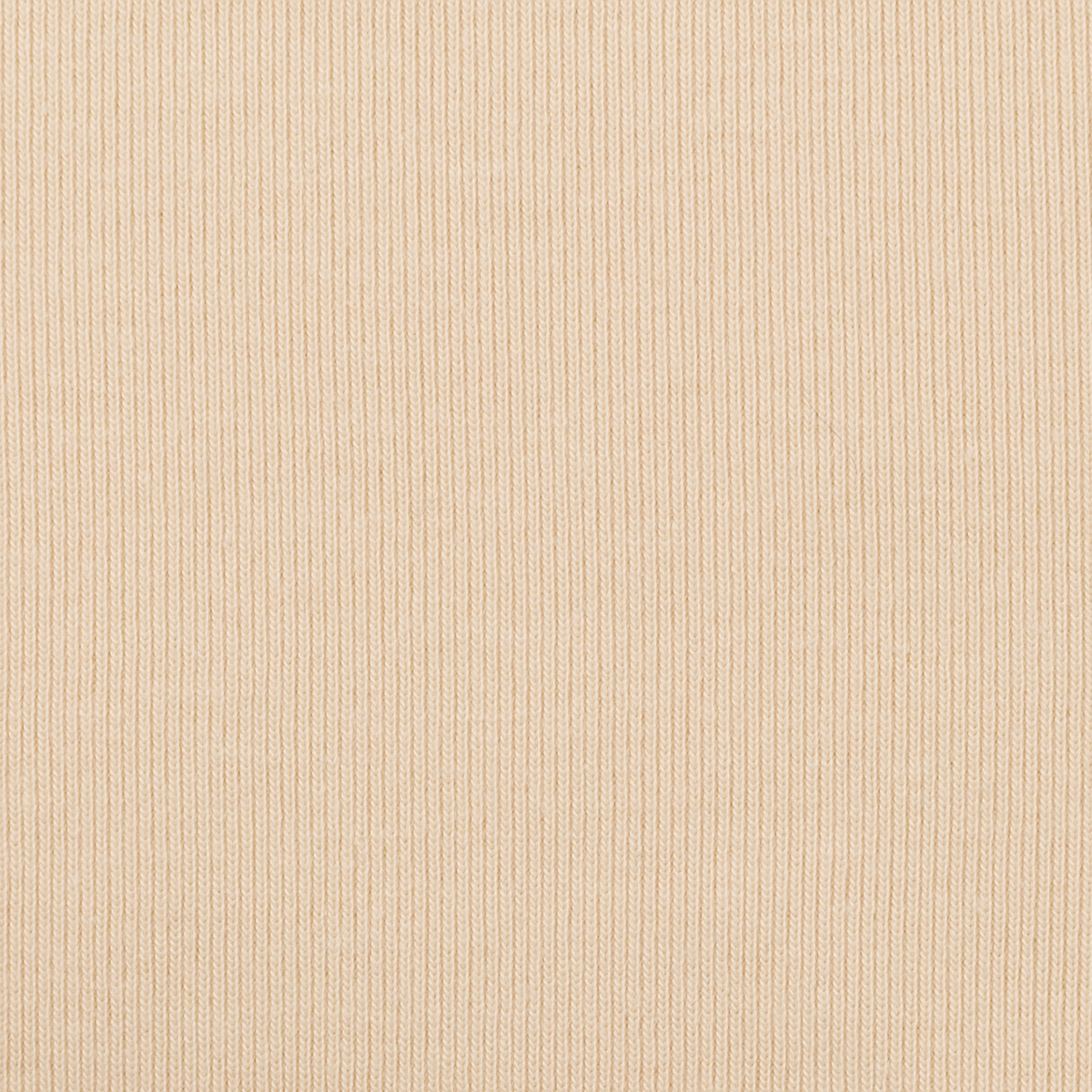 【アウトレット】コットン×無地(エクリュ)×リブニットのサムネイル