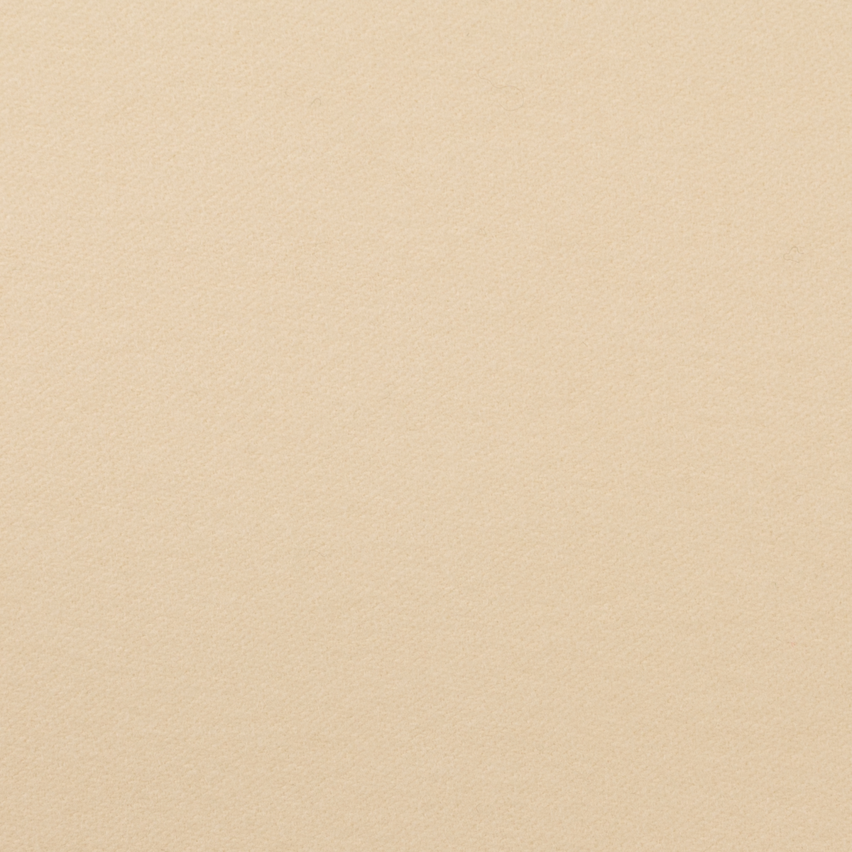 【アウトレット】コットン×無地(エクリュ)×ソフトモールスキンのサムネイル