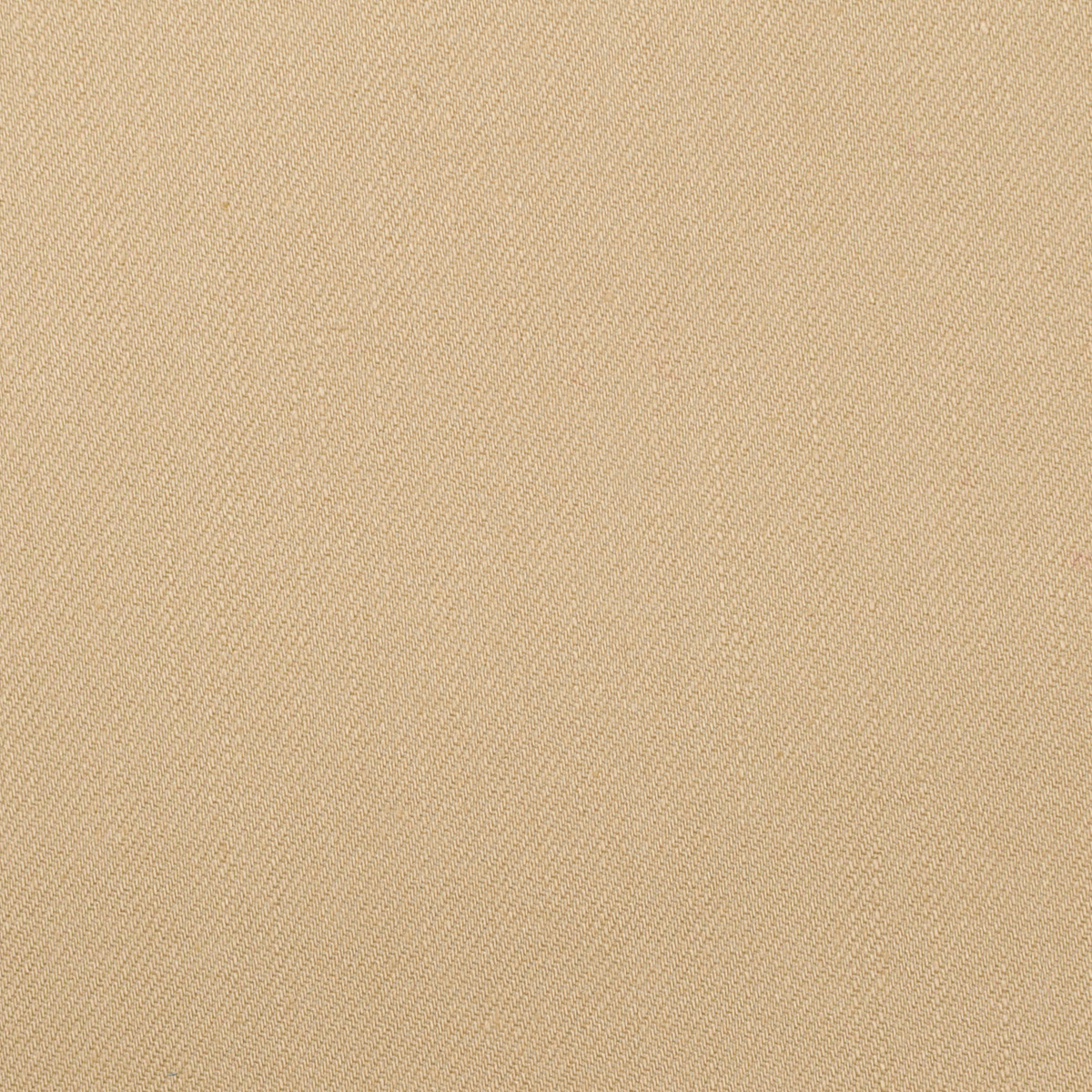 コットン＆ナイロン混×無地(ベージュ)×チノクロス・ストレッチ(裏面起毛)_全2色のサムネイル