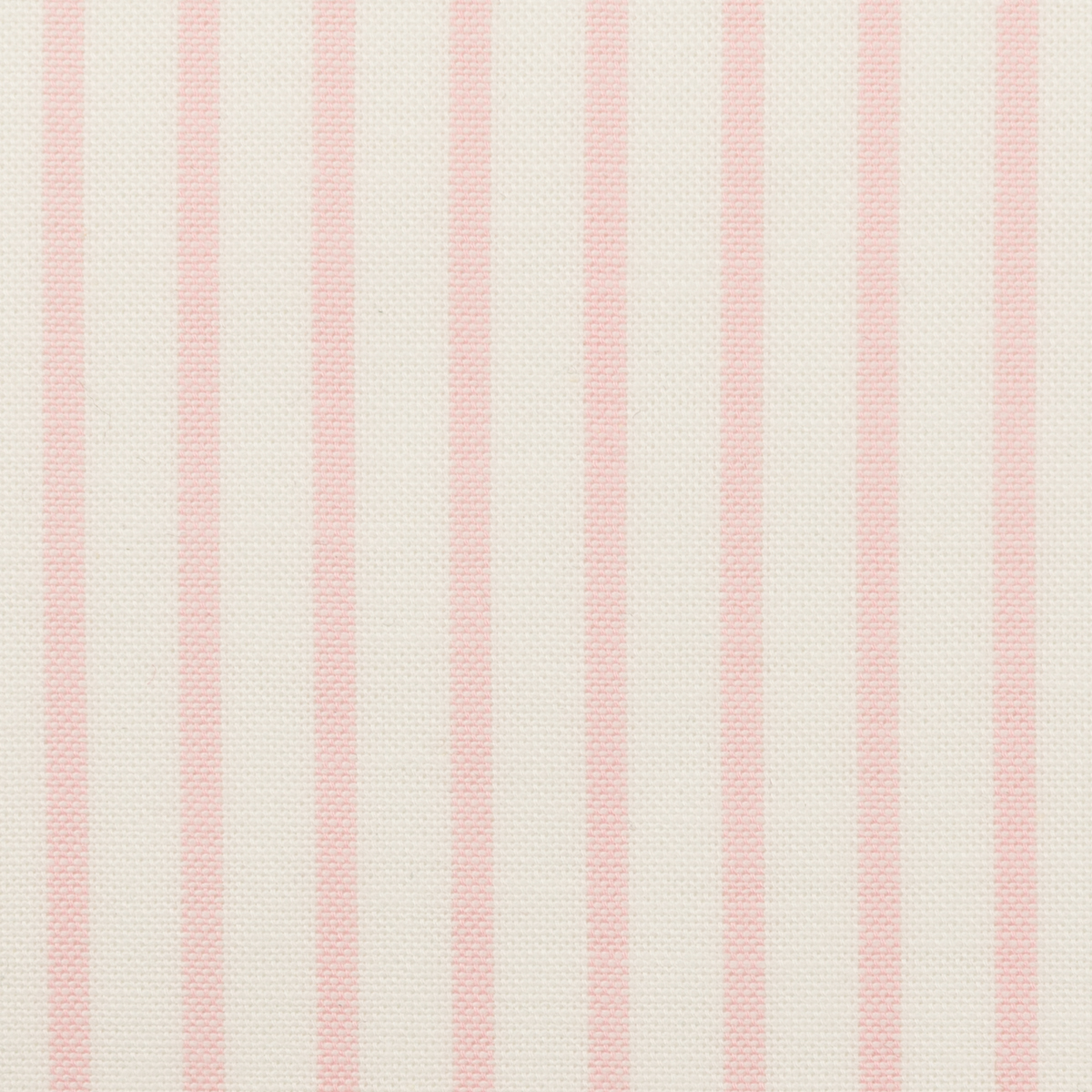 【アウトレット】コットン×ストライプ(オフホワイト＆ピンク)×オックスフォードのサムネイル