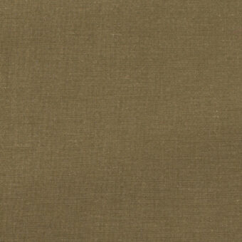 B(アッシュオリーブ)のサムネイル