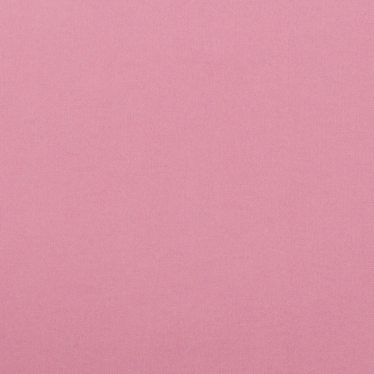 コットン＆ポリエステル×無地(シクラメンピンク)×タイプライター_全5色のサムネイル