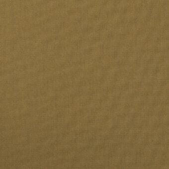 E(アンバー)のサムネイル