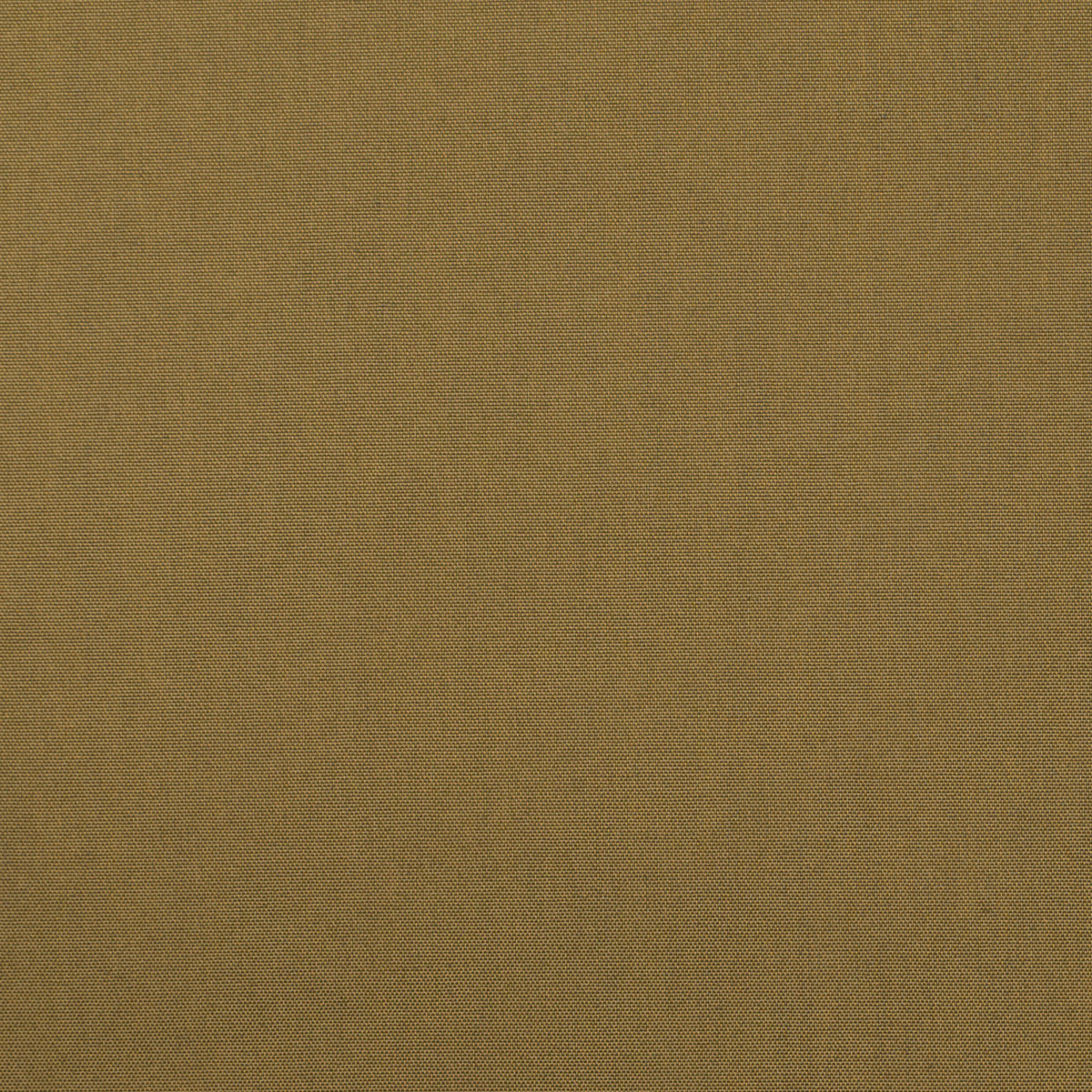 コットン＆ポリエステル×無地(アンバー)×タイプライター_全5色のサムネイル