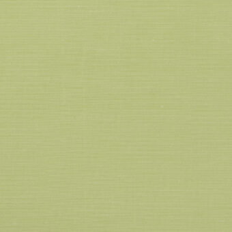 B(フレッシュグリーン)のサムネイル