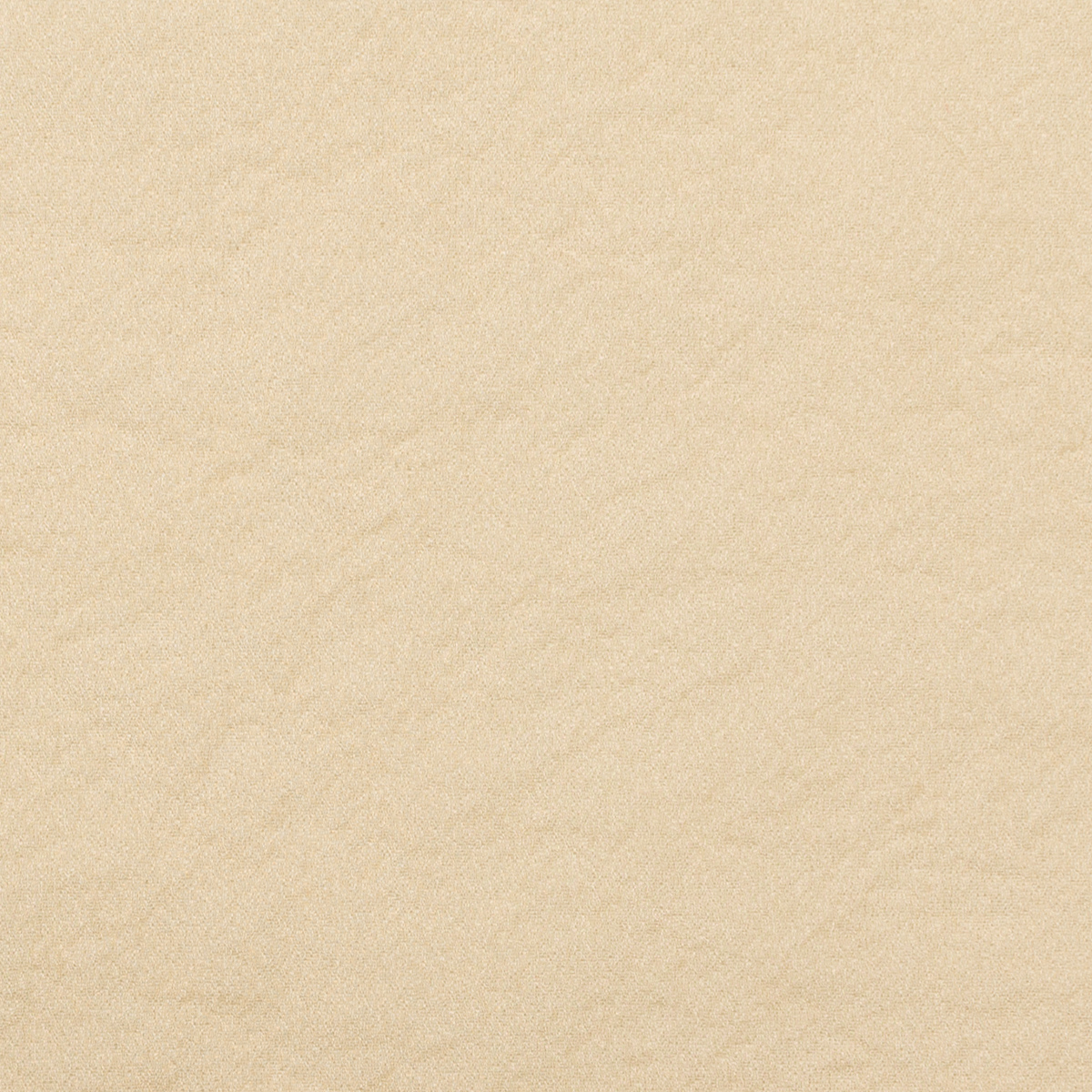 【アウトレット】ポリエステル×無地(シャンパンゴールド)×オーガンジー・ワッシャーのサムネイル