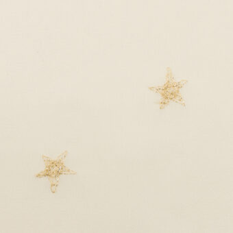 【アウトレット】ポリエステル×エトワール(クリーム＆ゴールド)×シフォン刺繍のサムネイル