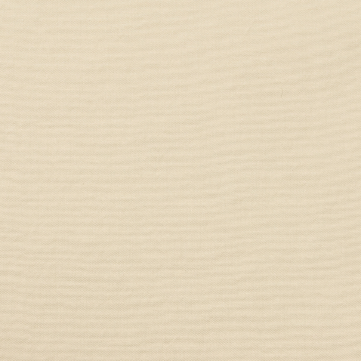 コットン×無地(エクリュ)×タイプライター・ワッシャー_全5色のサムネイル