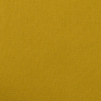 B(マスタード)のサムネイル