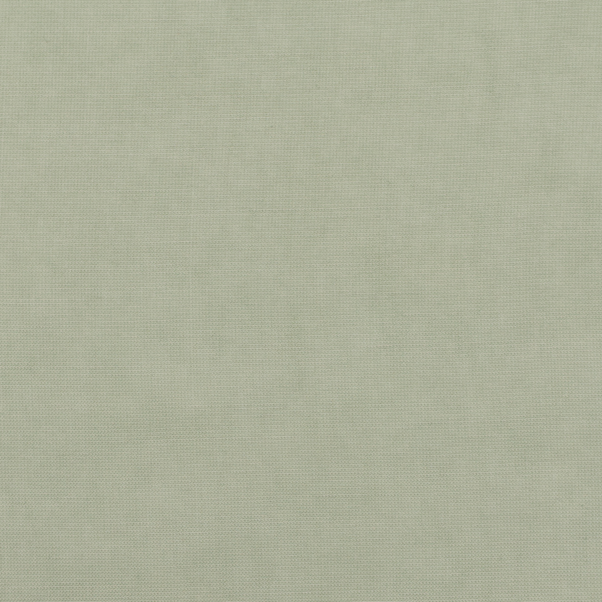 【アウトレット】コットン×無地(セージグリーン)×ボイルのサムネイル