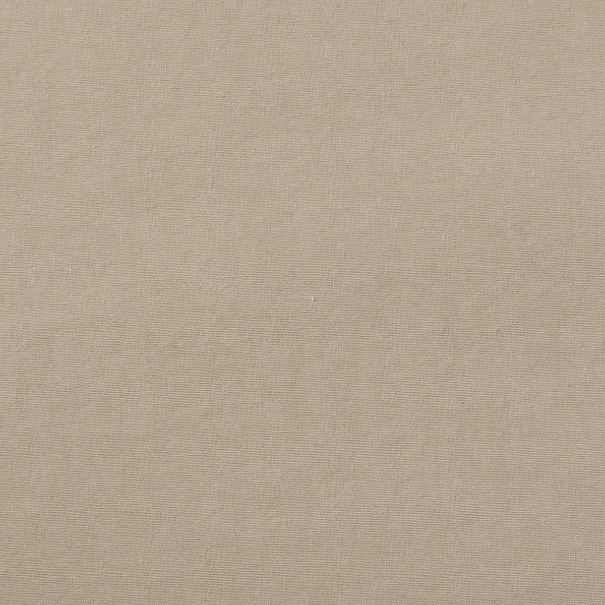 【アウトレット】コットン×無地(オイスター)×タイプライター・ワッシャーのサムネイル