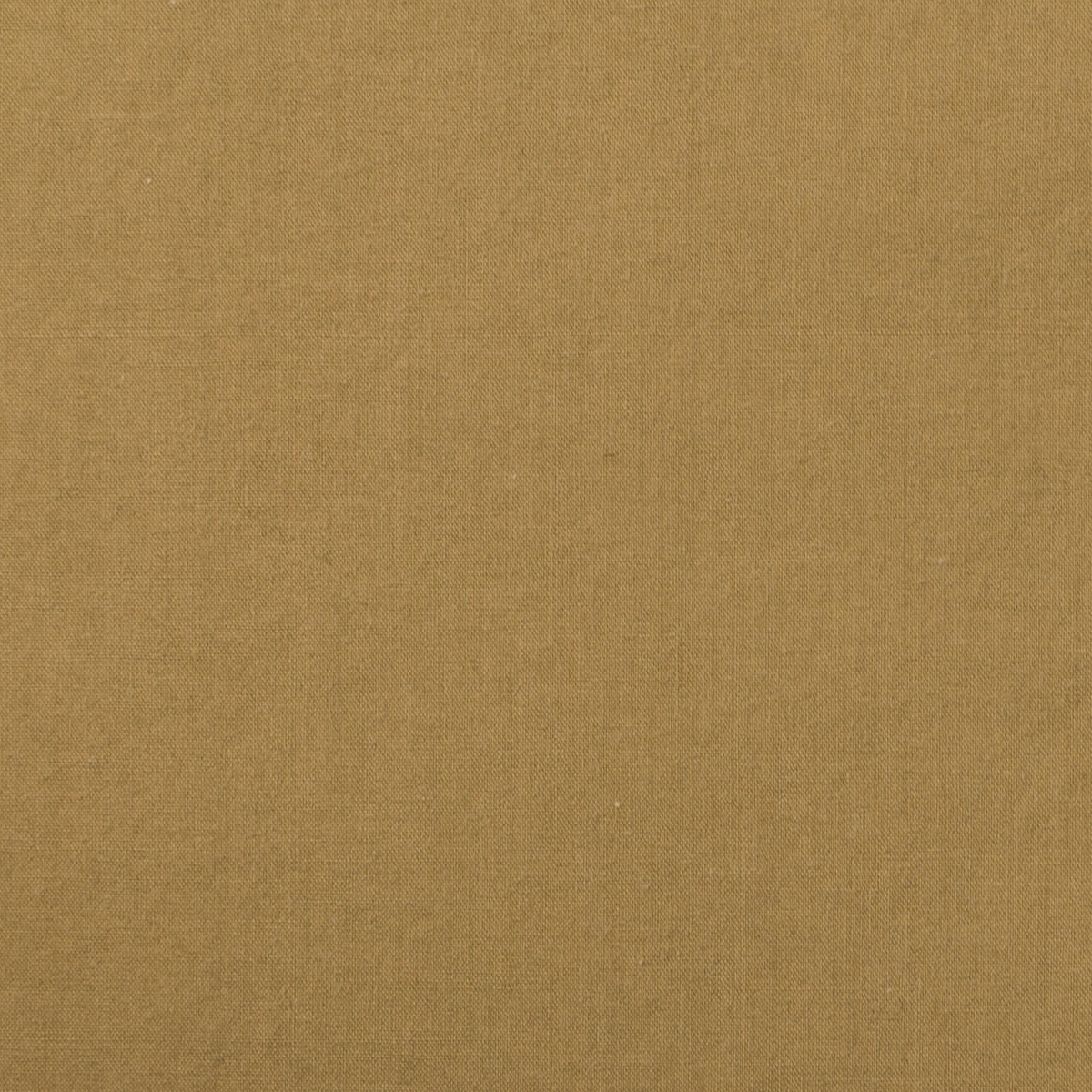 【アウトレット】コットン×無地(カーキベージュ)×タイプライター・ワッシャーのサムネイル