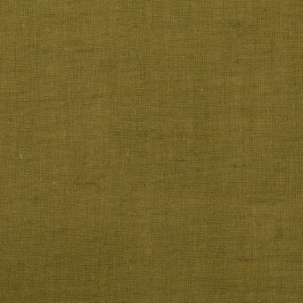 B(ウィローグリーン)のサムネイル