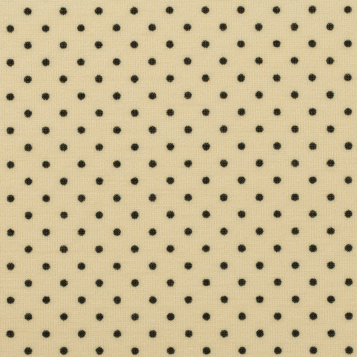 【アウトレット】ポリエステル×ドット(カスタード＆ブラック)×エスパンディ天竺ニットのサムネイル