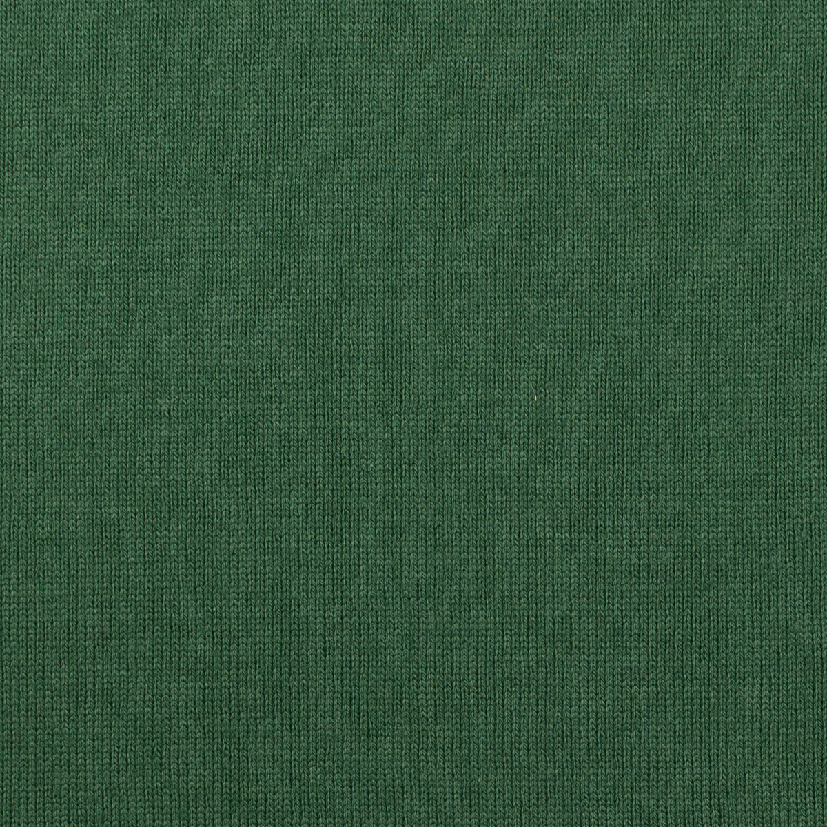【アウトレット】コットン×無地(クロムグリーン)×天竺ニットのサムネイル