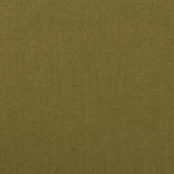 D(ウィローグリーン)のサムネイル