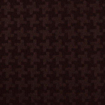 B(レーズン)のサムネイル