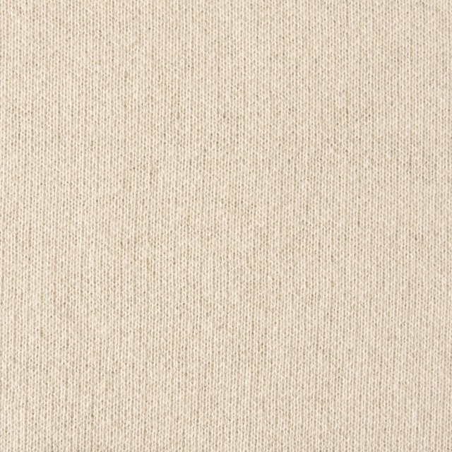 コットン×無地(キナリ)×裏毛ニット イメージ1