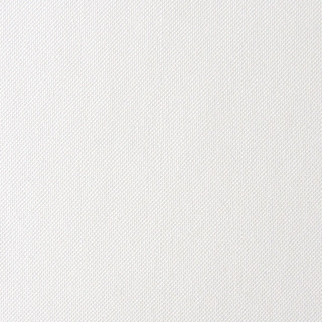 コットン×無地(オフホワイト)×オックスフォード_全2色 イメージ1