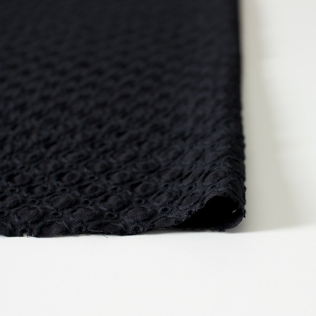 コットン&ポリエステル×無地(ブラック)×ジョーゼット刺繍 イメージ3
